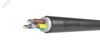 Кабель силовой ВВГнг(А)-FRLS 3х6ок(N.PE)-0.66 ТРТС