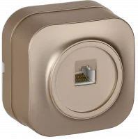 GLORY Розетка для открытой установки компьютерная RJ45 кат.5E РК10-ХШм шампань матовый IEK