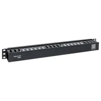 Органайзер кабельный TERACOM PRO с крышкой 19'' 1U пластиковый черный