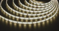 Лента светодиодная 4.8Вт/м 24В 3000К IP65 60LED/м NLS-2835 5м