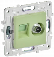 SKANDY Розетка двойная TV+RJ45 кат.5E SK-A14G мятный IEK